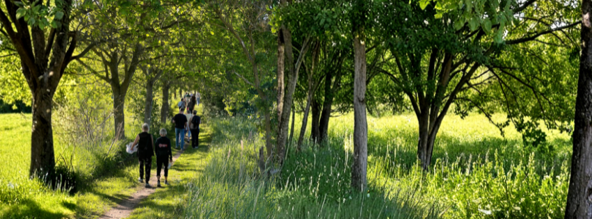 Green Comfort Community