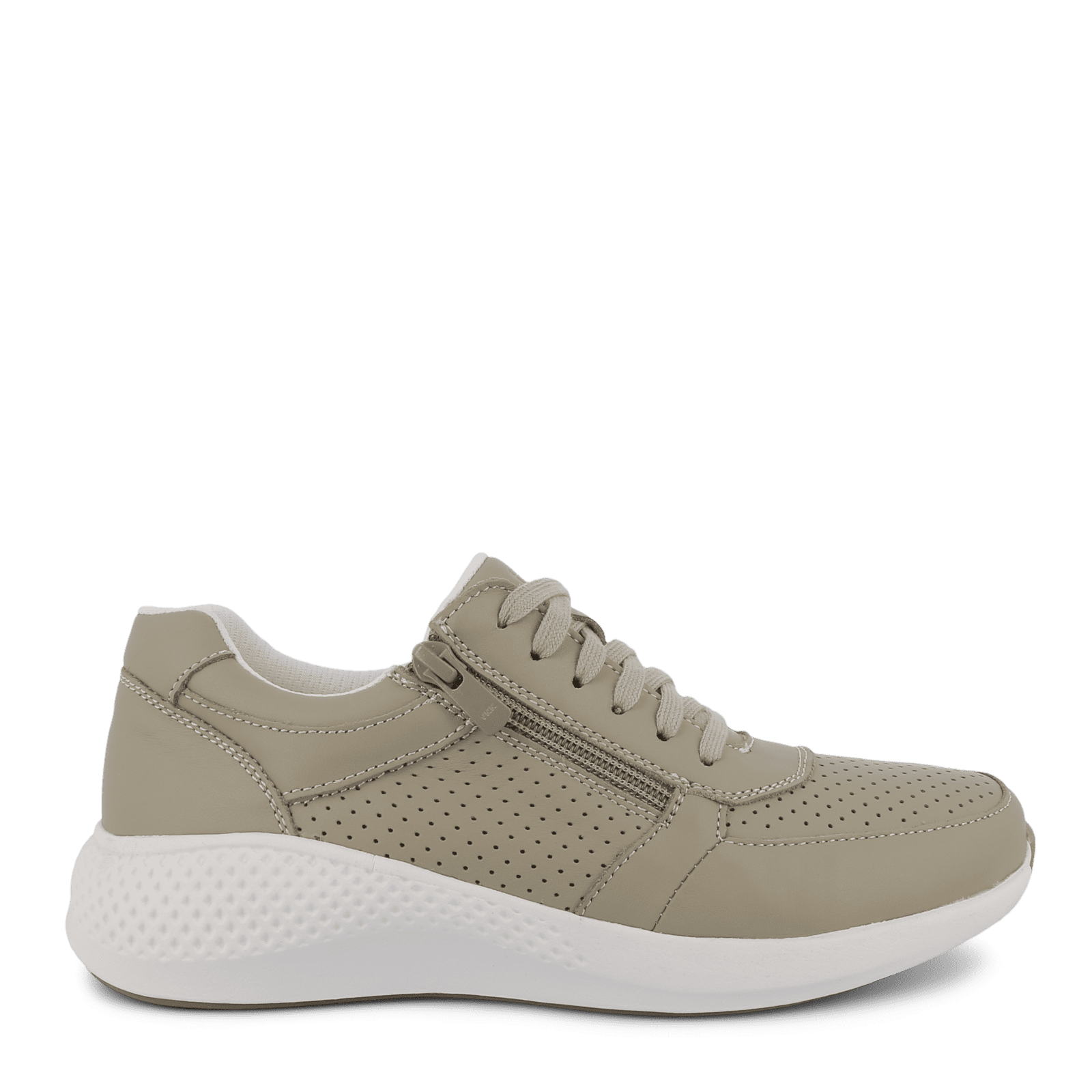 DOLPHIN DIANA - SAGE