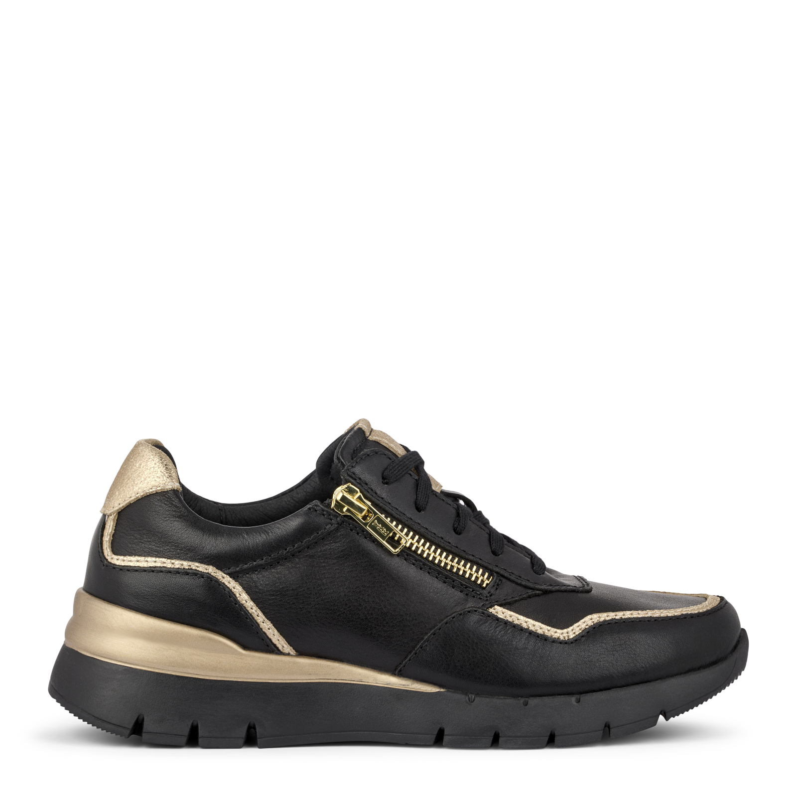 FIRENZE FIOLA - SORT