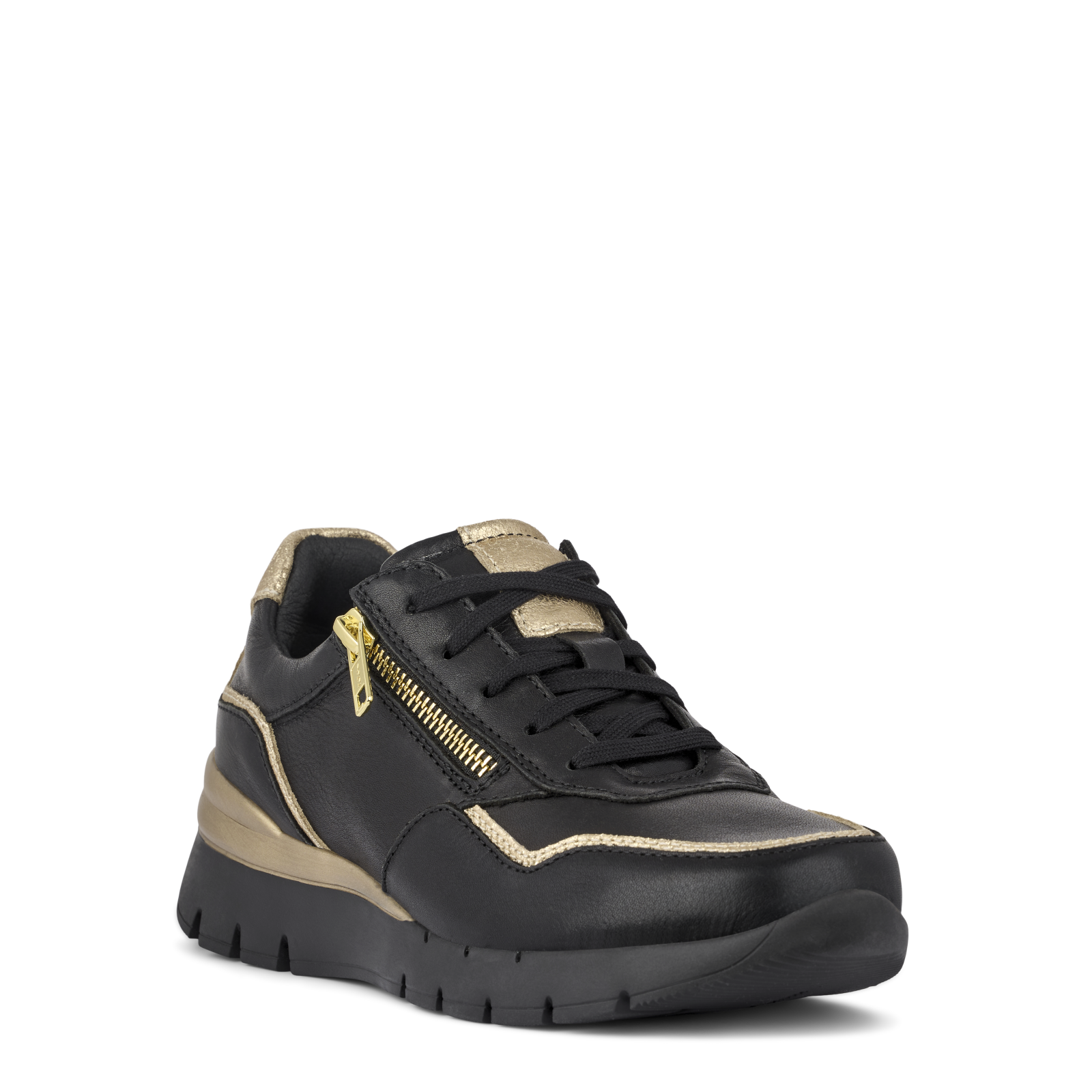 FIRENZE FIOLA - SORT