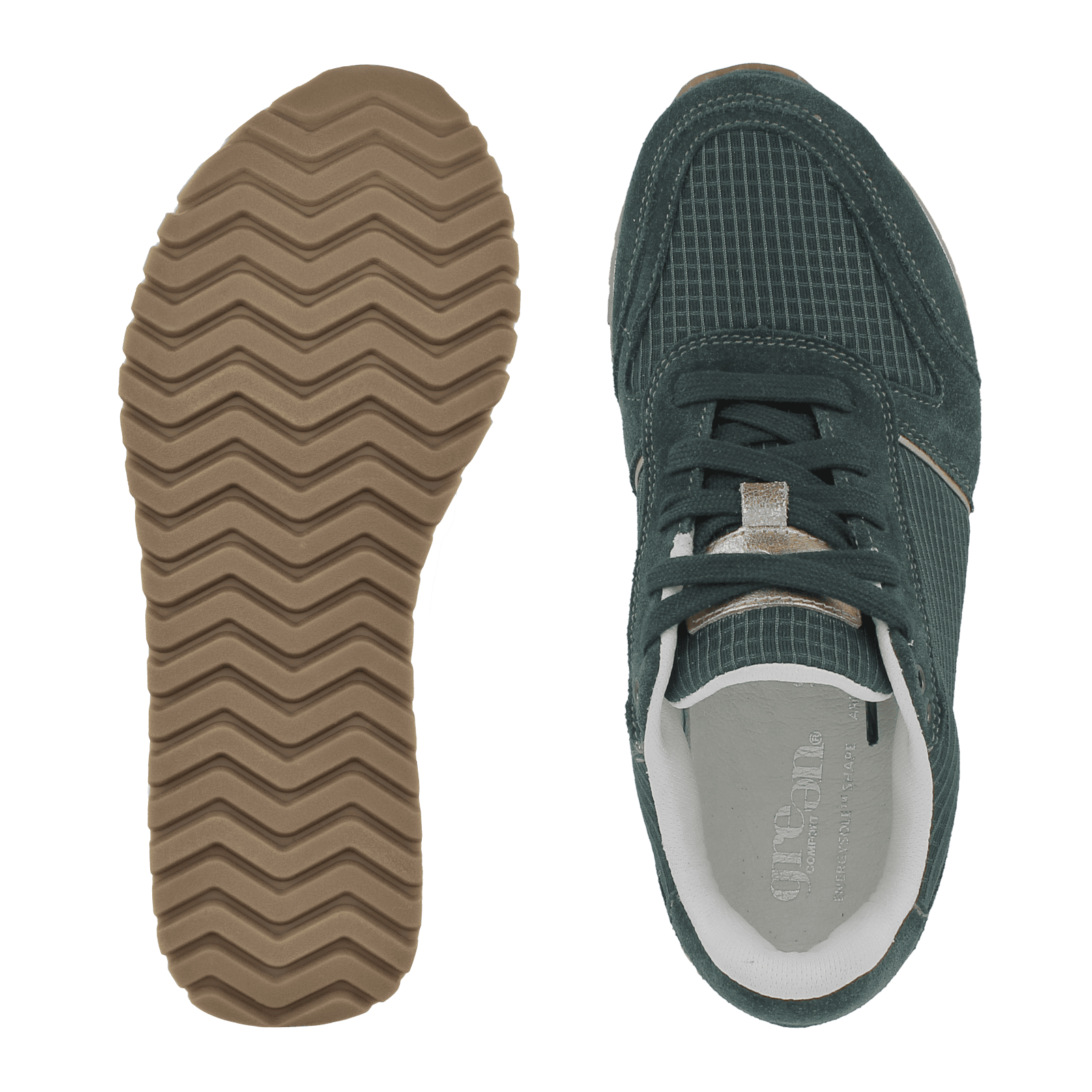 FREENESS FIONA - FORREST GREEN