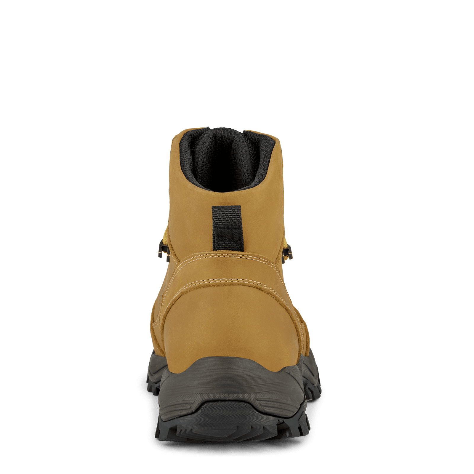 NORTH NOVA - MUSTARD