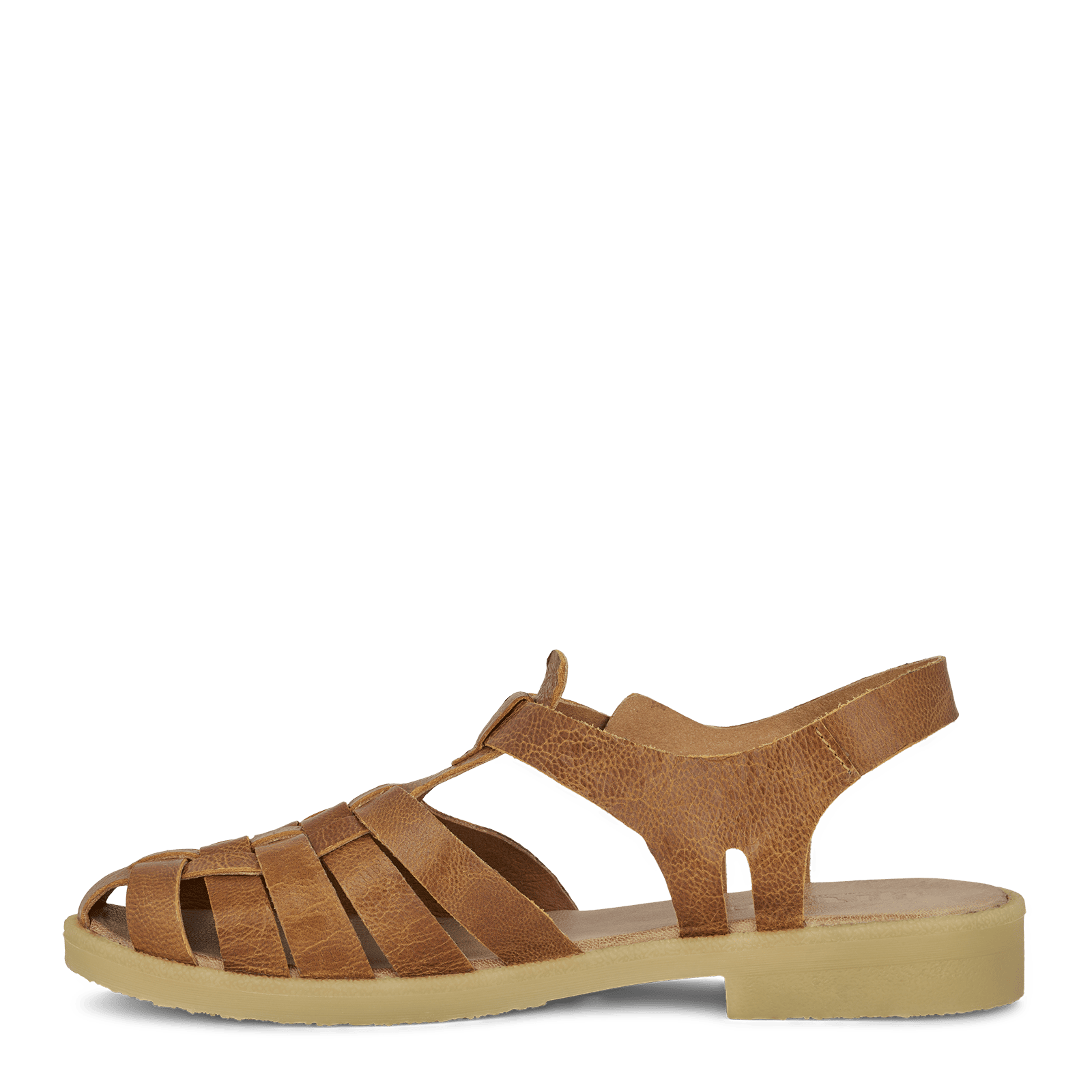 CAROLINE CAPRI - COGNAC