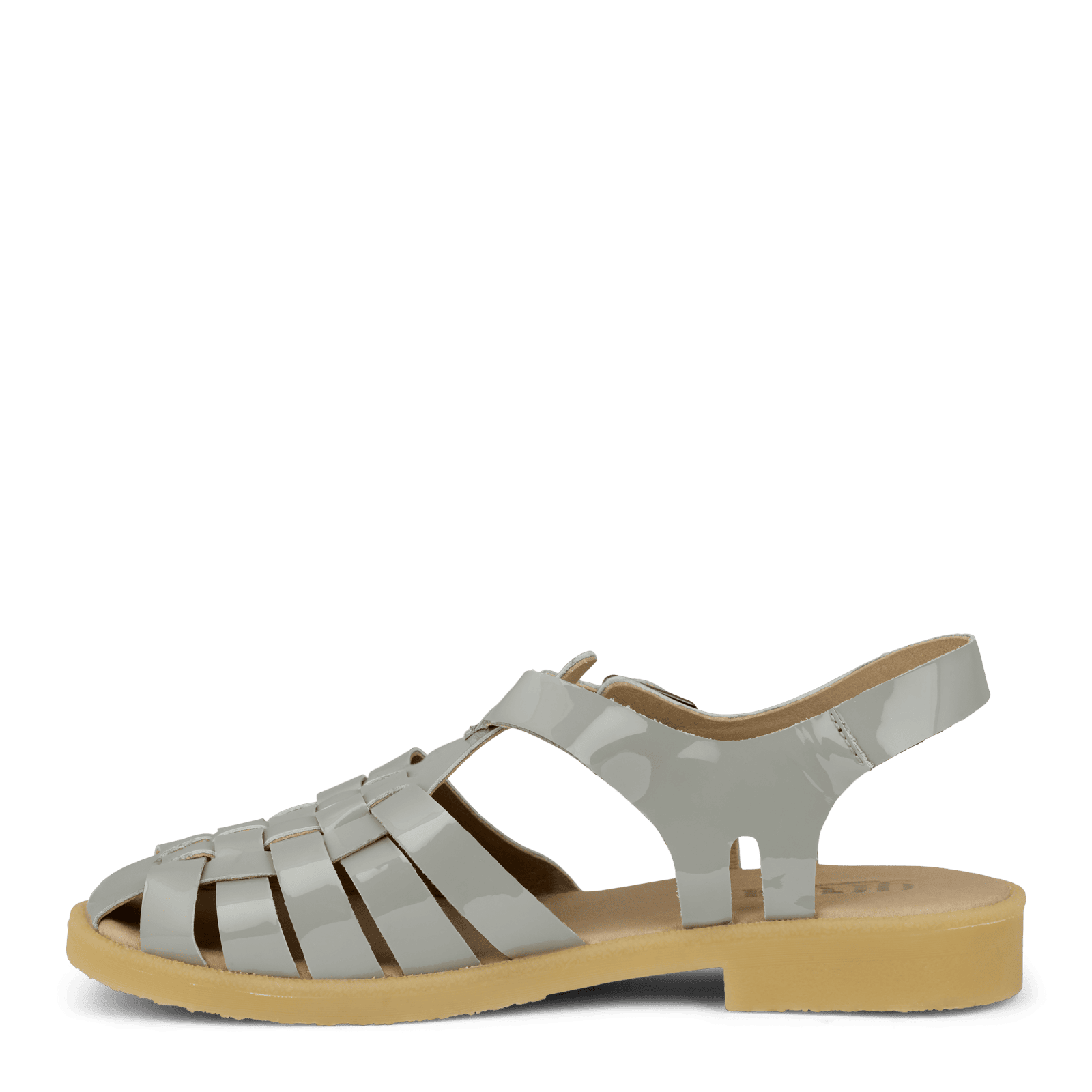 CAROLINE CORDELIA - SAGE