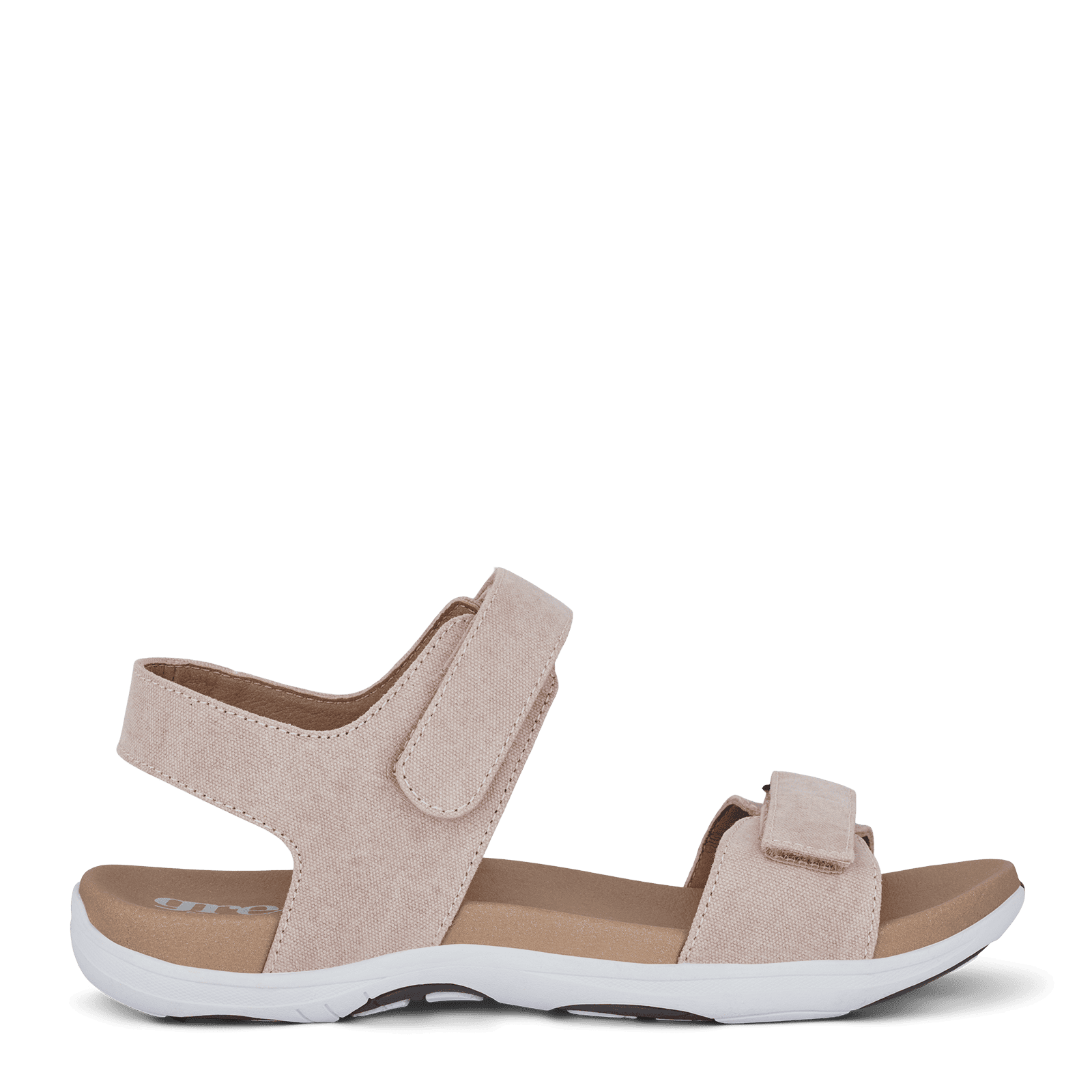 CORSICA CHRISTA - ROSE