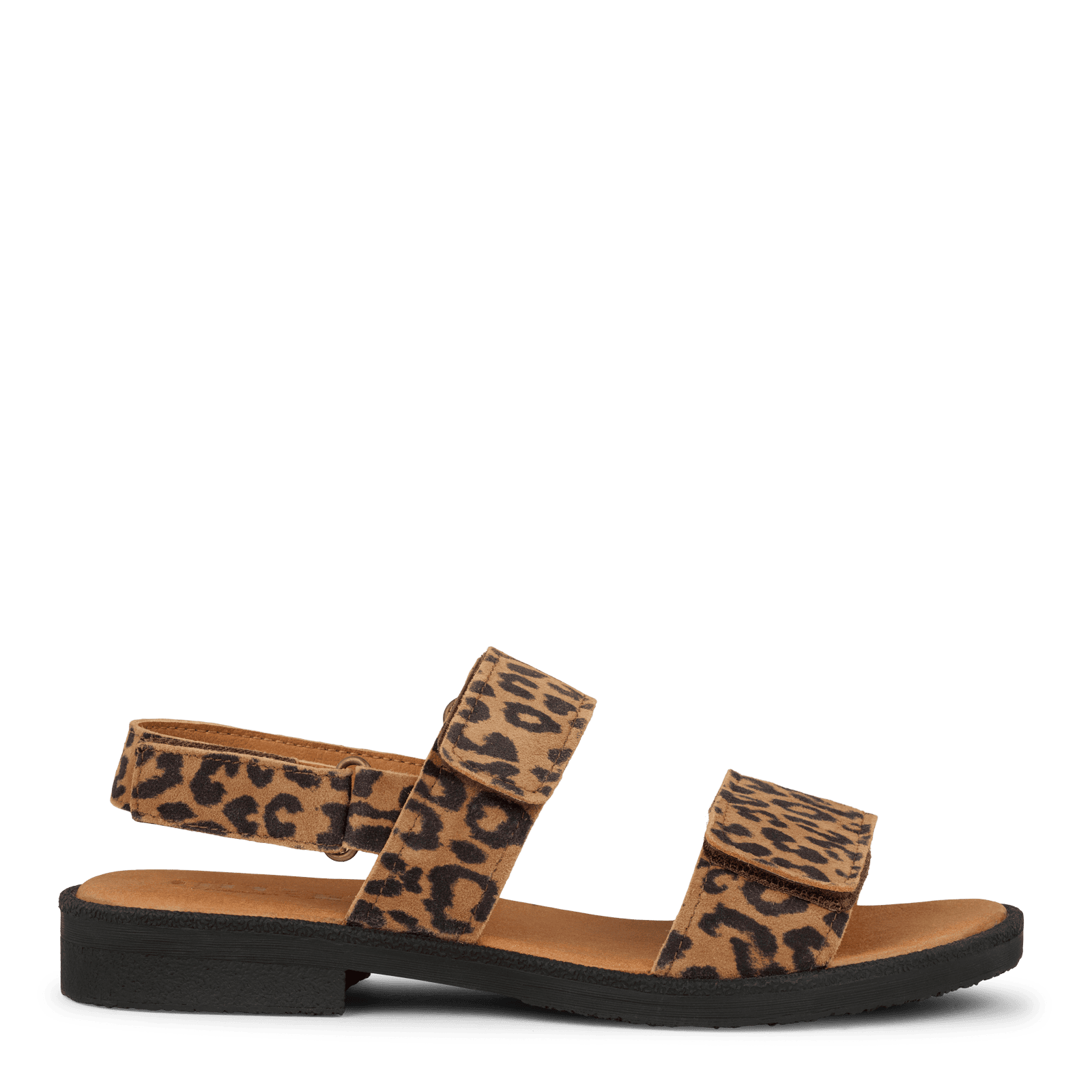 CAROLINE COMO - COGNAC