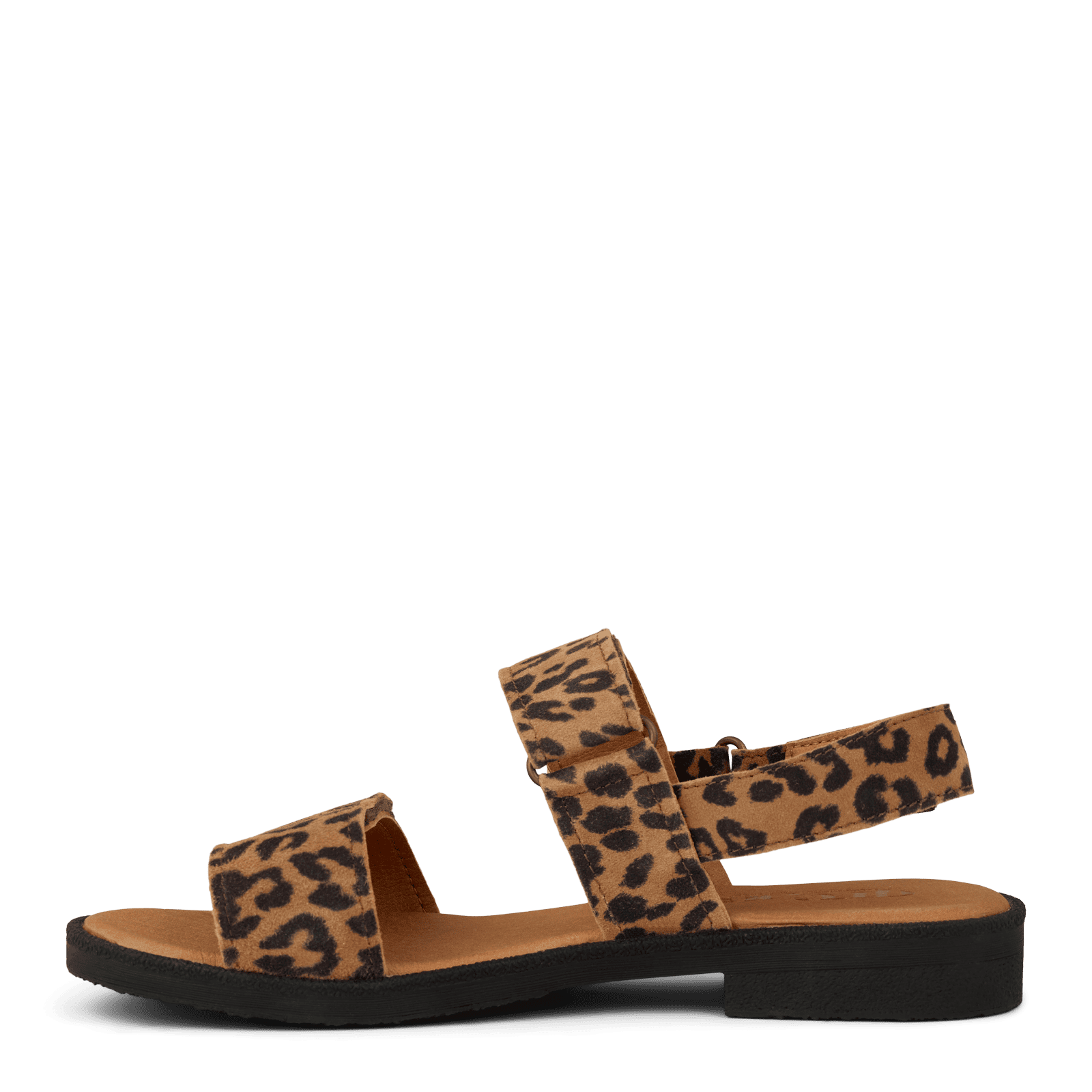 CAROLINE COMO - COGNAC