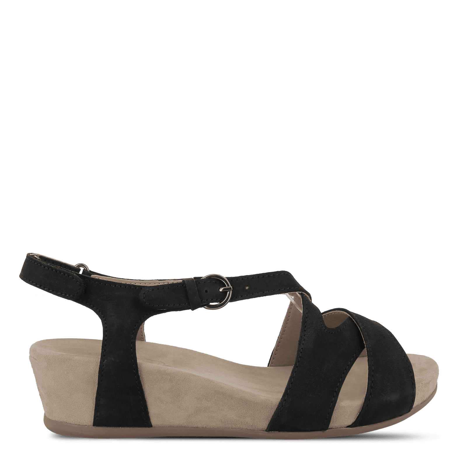 VITTORIA VANINA - SORT