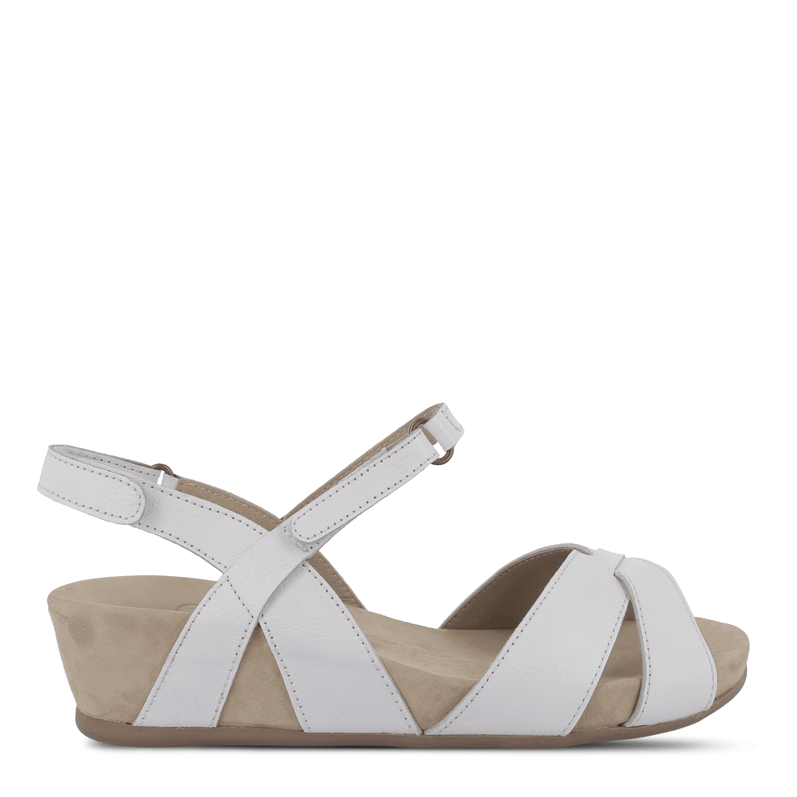 VIOLA VETTIA - WHITE