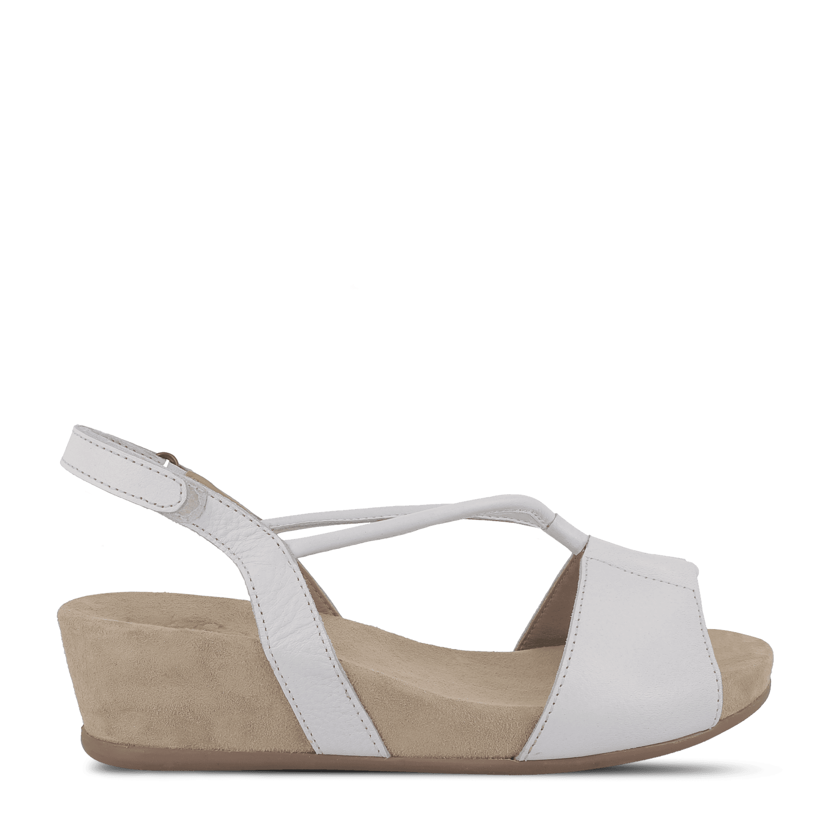 CAMILLA CORINA - WHITE