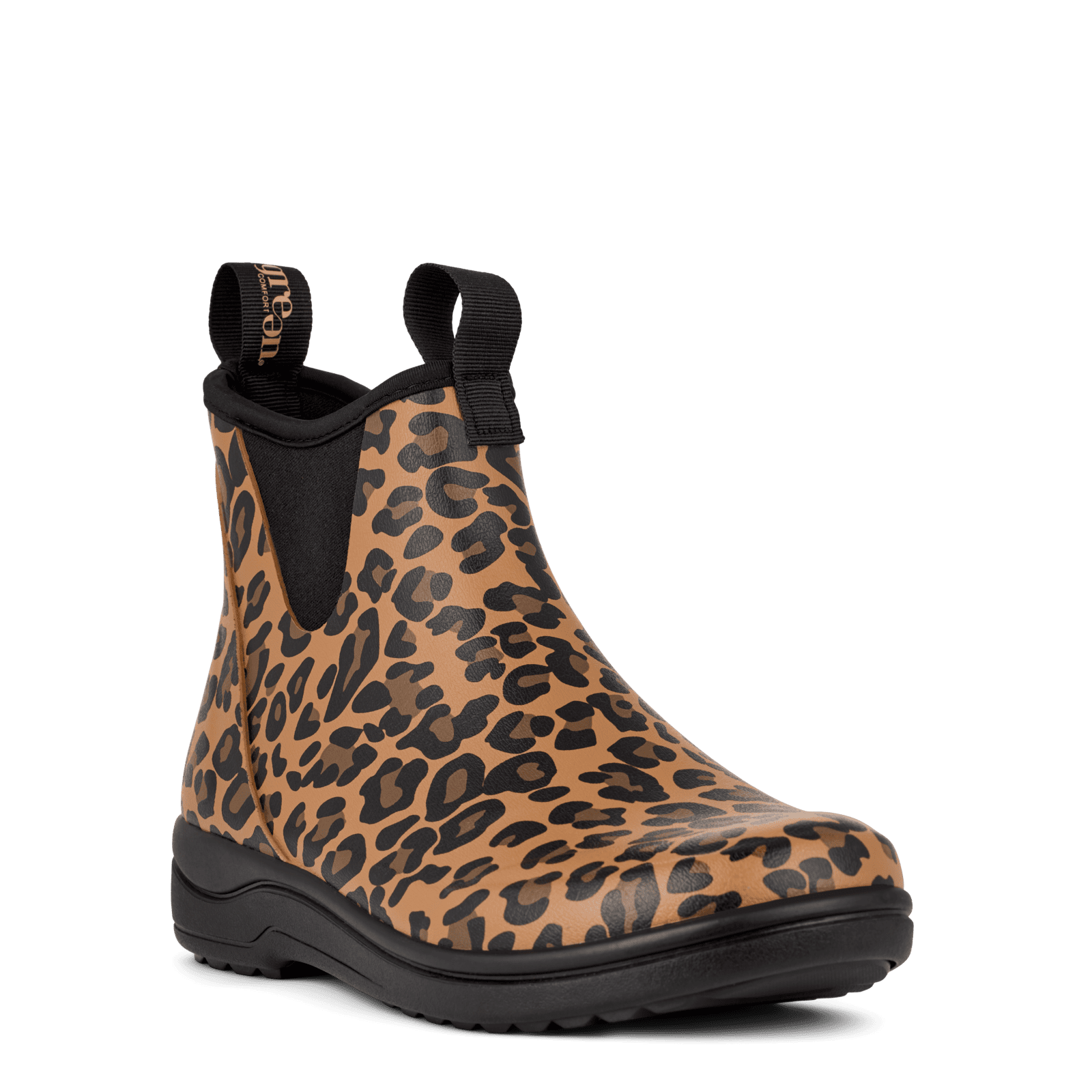 RAIN RAFAELL - LEOPARD