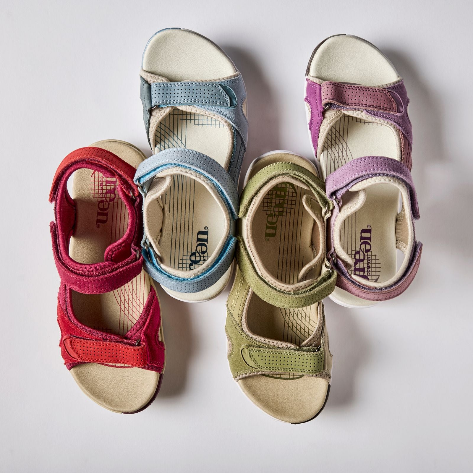 CORSICA CILA - FUXIA