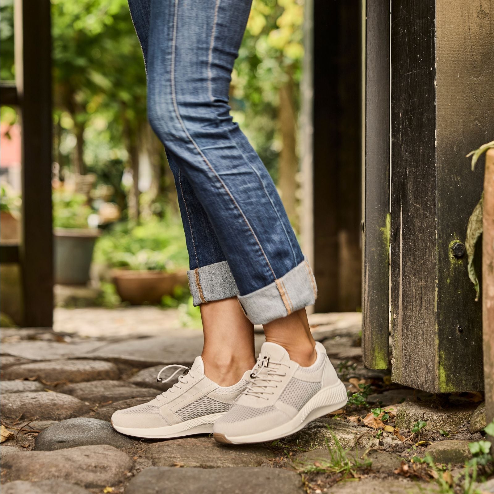 DOLPHIN DICTE - WHITE