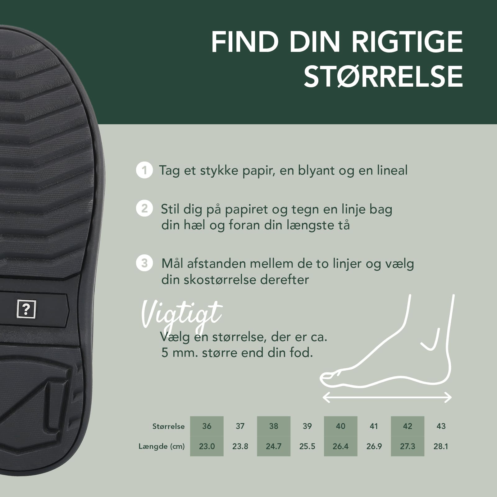 RAIN RAFAELL - TIGER