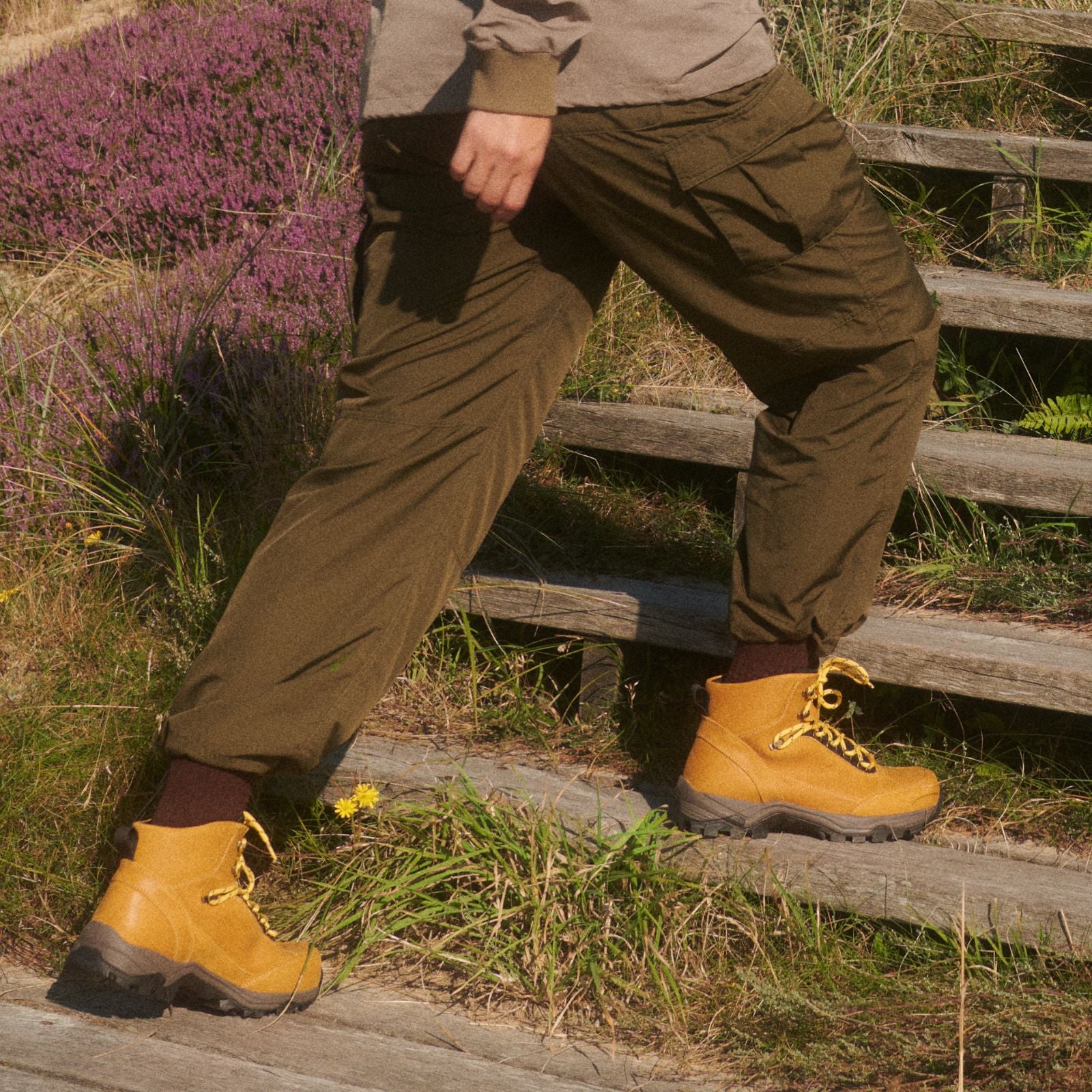 NORTH NOVA - MUSTARD